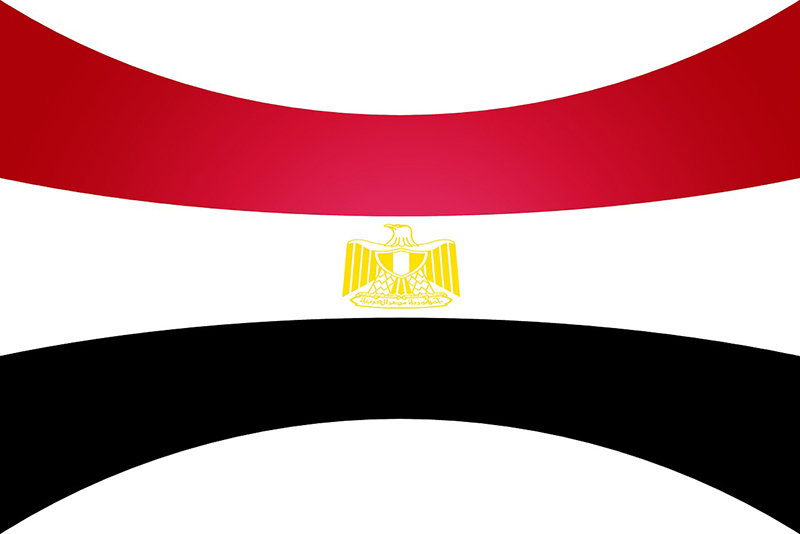 فعالیت شرکت های دولتی مصری در بخش زیر ساختی و مسکن عراق