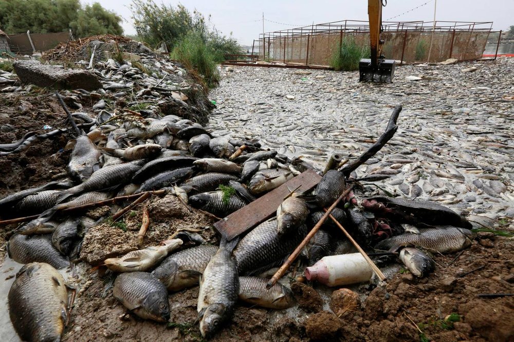 آلودگی محیط زیستی در عراق